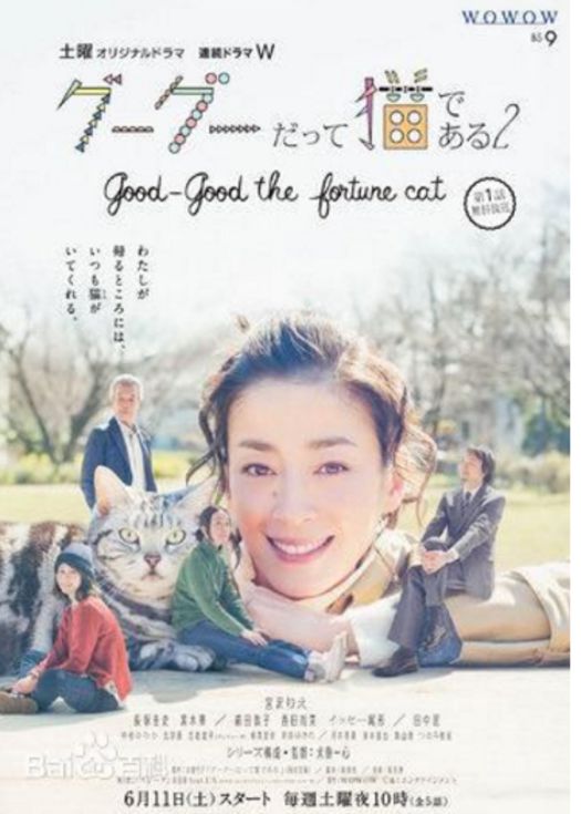 咕咕是一只猫2-已完结