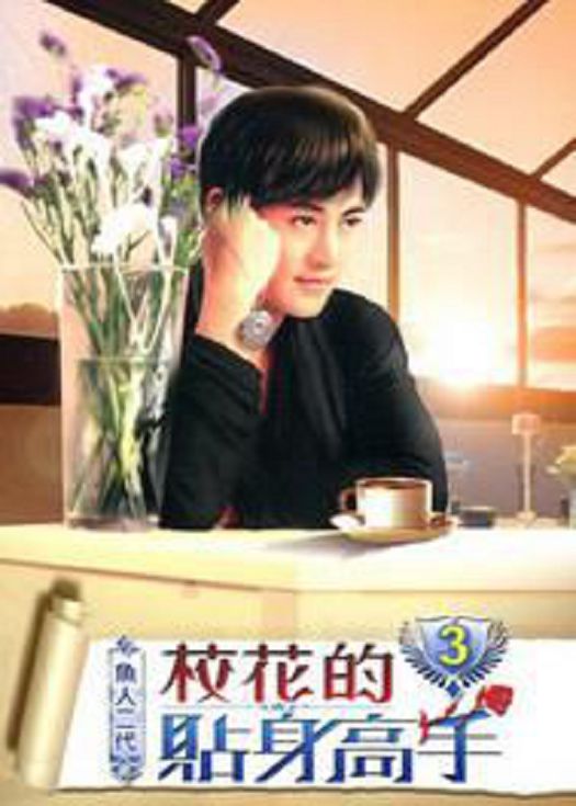 校花的贴身高手3-已完结