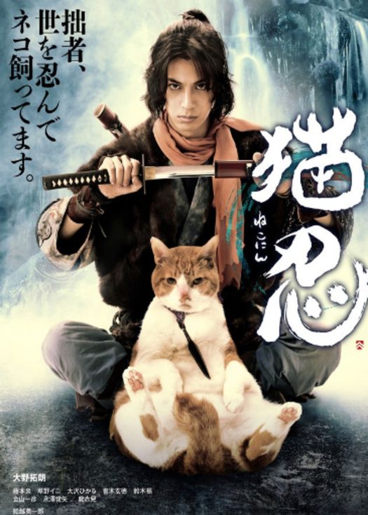 猫忍-连载