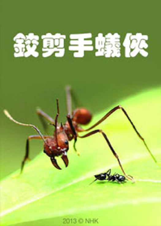 铰剪手蚁侠-粤语