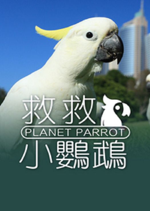 救救小鸚鵡-粤语