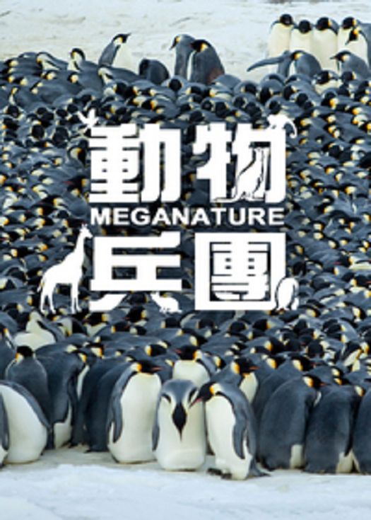 海报背景