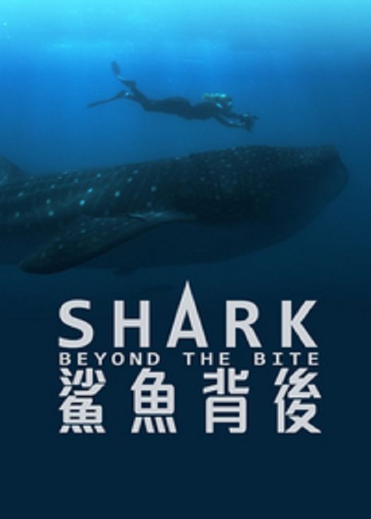 海报背景