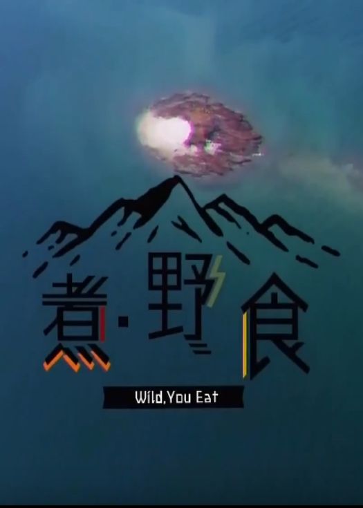 煮．野食
