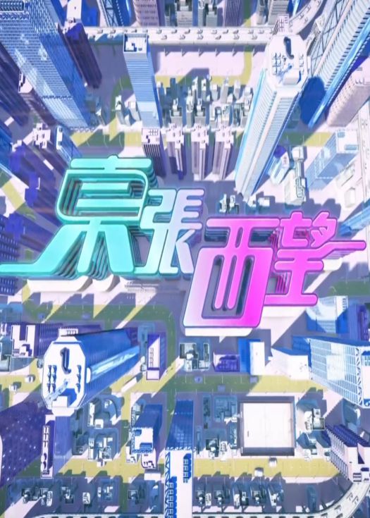 东张西望2024