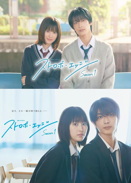 闪烁的爱情第一季封面图