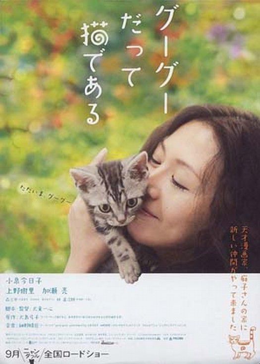 猫猫向前冲